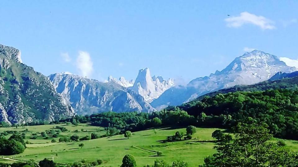 Hotel Arenas De Cabrales- Apartamentos ภายนอก รูปภาพ