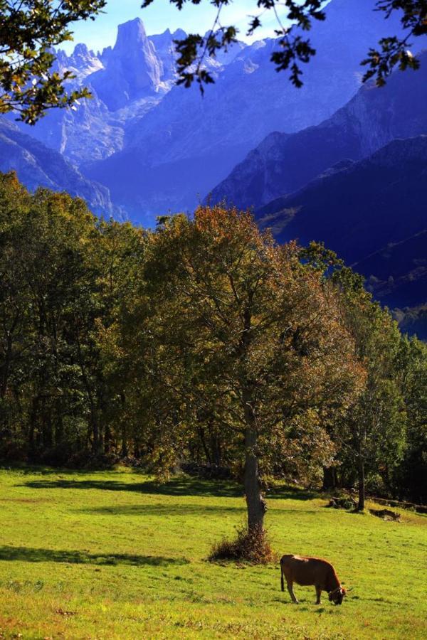 Hotel Arenas De Cabrales- Apartamentos ภายนอก รูปภาพ