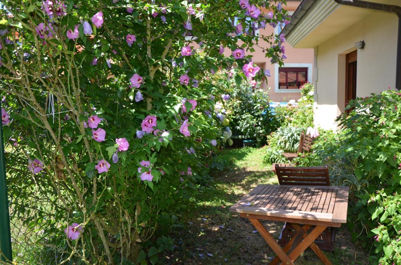Hotel Arenas De Cabrales- Apartamentos ภายนอก รูปภาพ