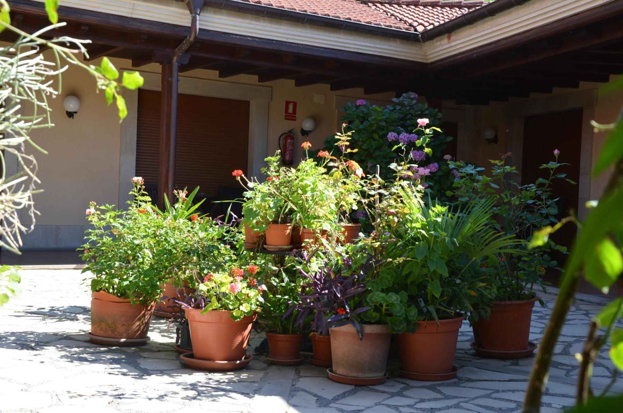 Hotel Arenas De Cabrales- Apartamentos ภายนอก รูปภาพ